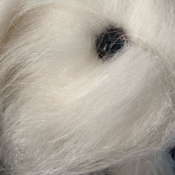 Rare HTF Vintage old English Sheepdog by Cuddlewit, preowned with tags T29 - Picture 4 of 11